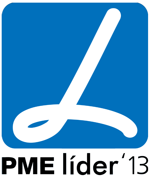 SACIA SME LEADER 2013