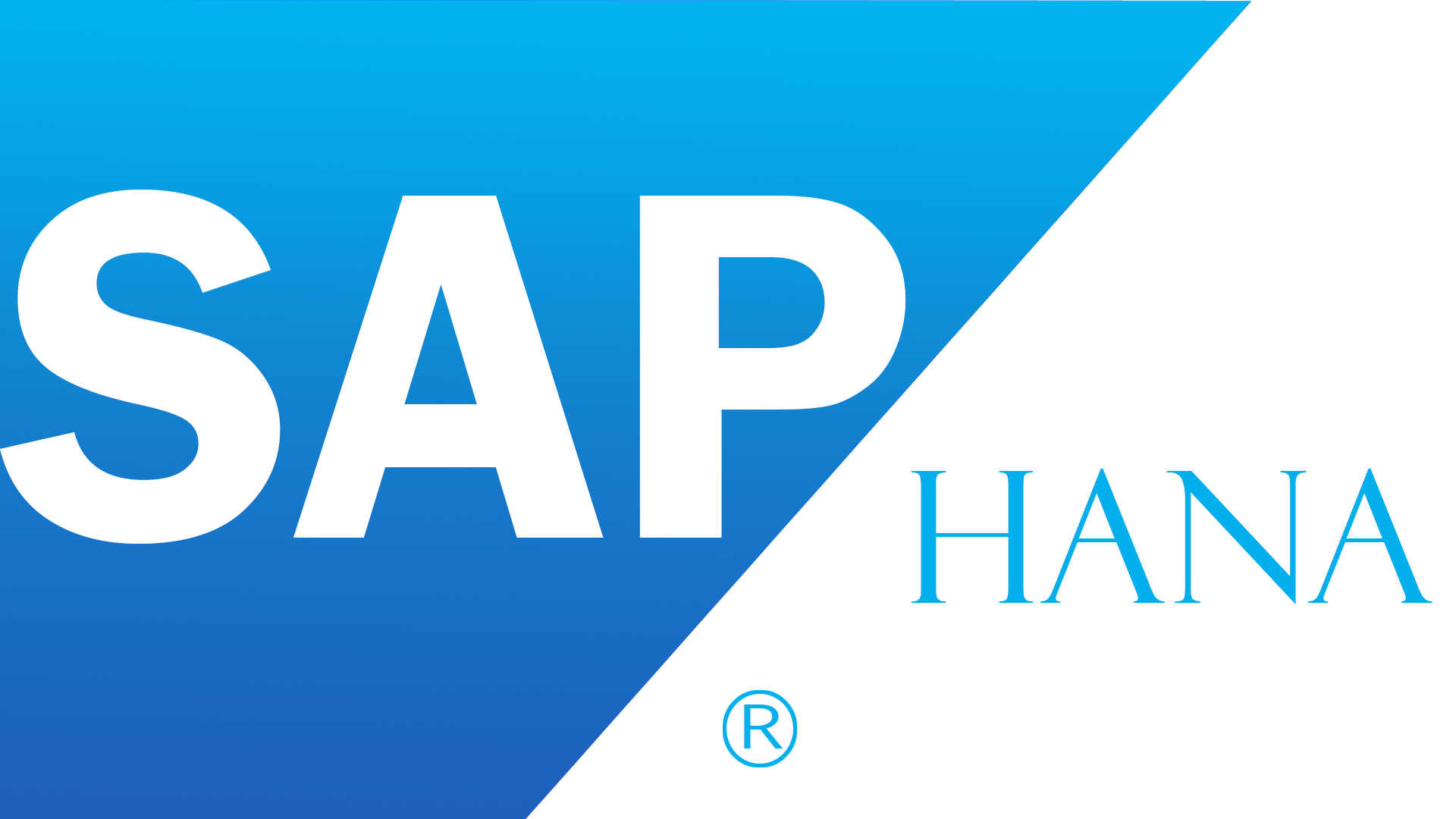 NOVO ERP – SAP S/4 HANA